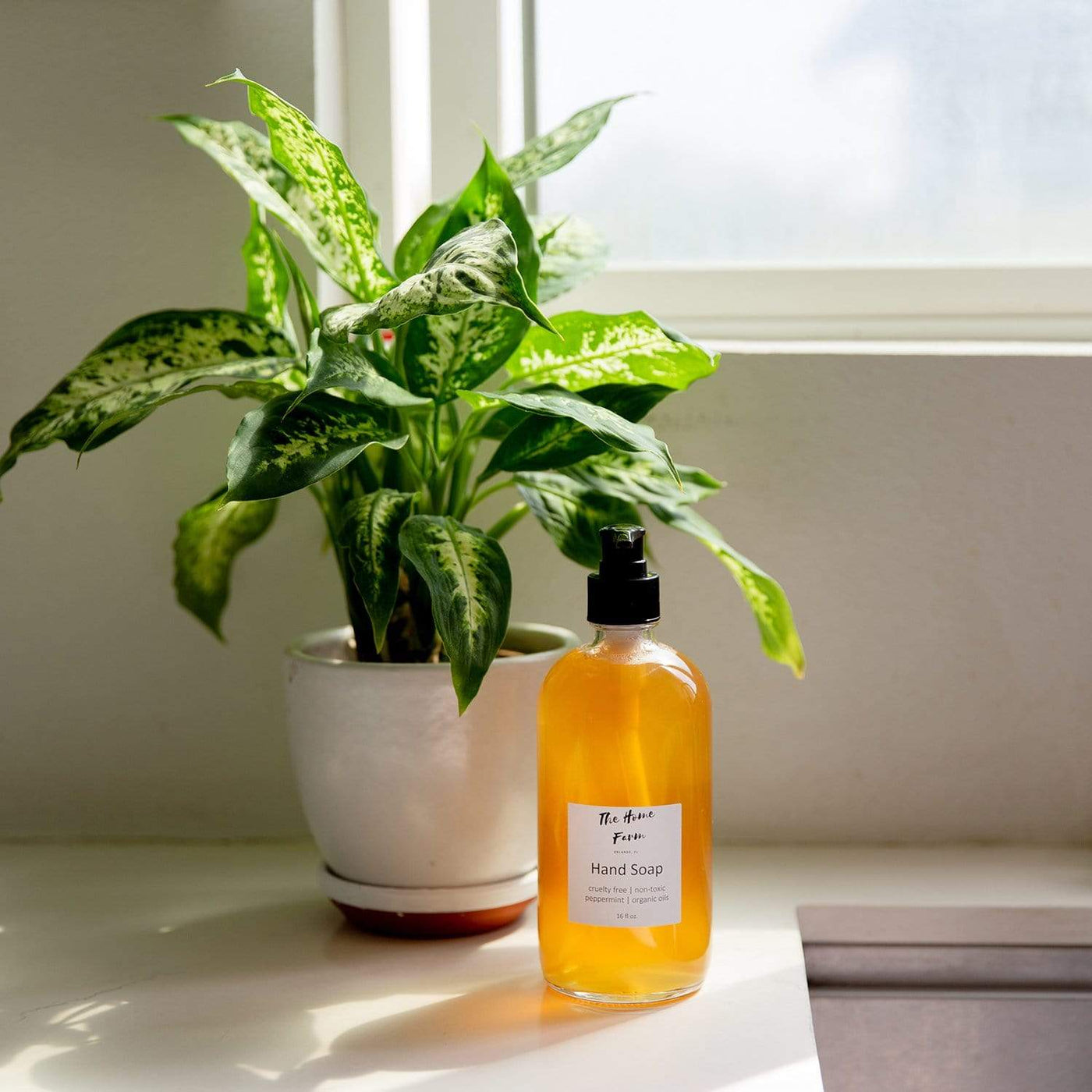 Bottle of non toxic hand soap from The Home Farm, placed in front of a house plant. 