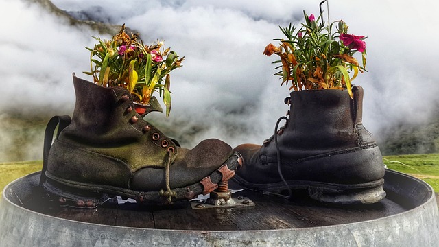 A an old pair of lace-up boots, upcycled into fall decor with flowers.