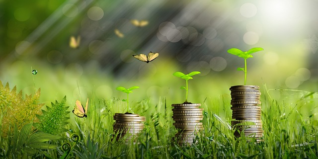 Three small plants growing out of a stack of coins placed on some grass. 