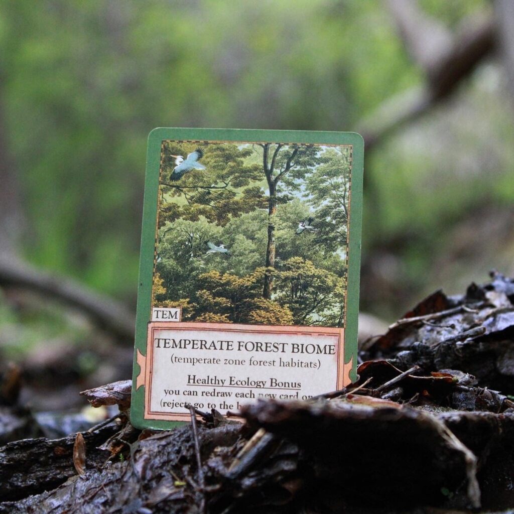 A playing card from the game Ecologie on a forest floor